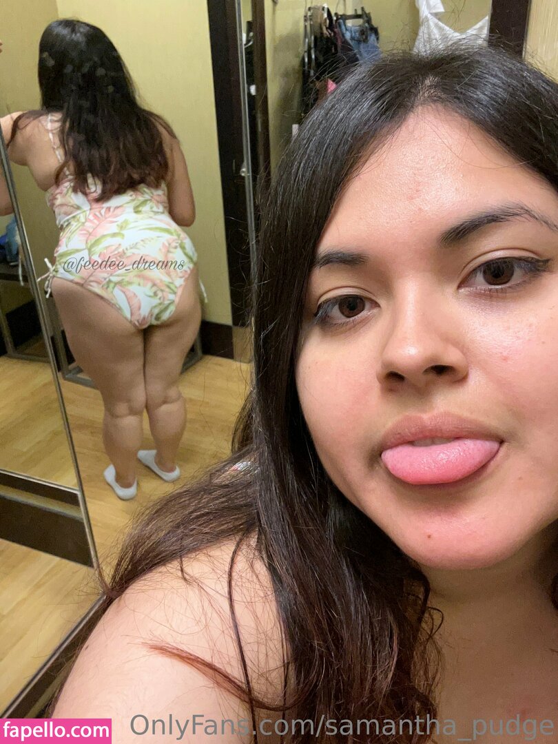 samantha_pudge leaked nude photo #0042 (samantha_pudge)