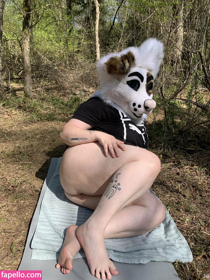 saoirsemutt leaked nude photo #0083 (saoirsemutt / therealpineapplefox)