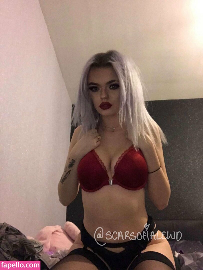 scarsofialewd leaked nude photo #0065 (scarsofialewd / scar_wolfo_)