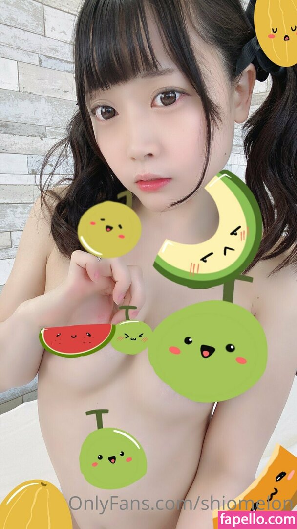 Shiomelon leaked nude photo #0245 (Shiomelon / SioMelonpan / moshimelon)