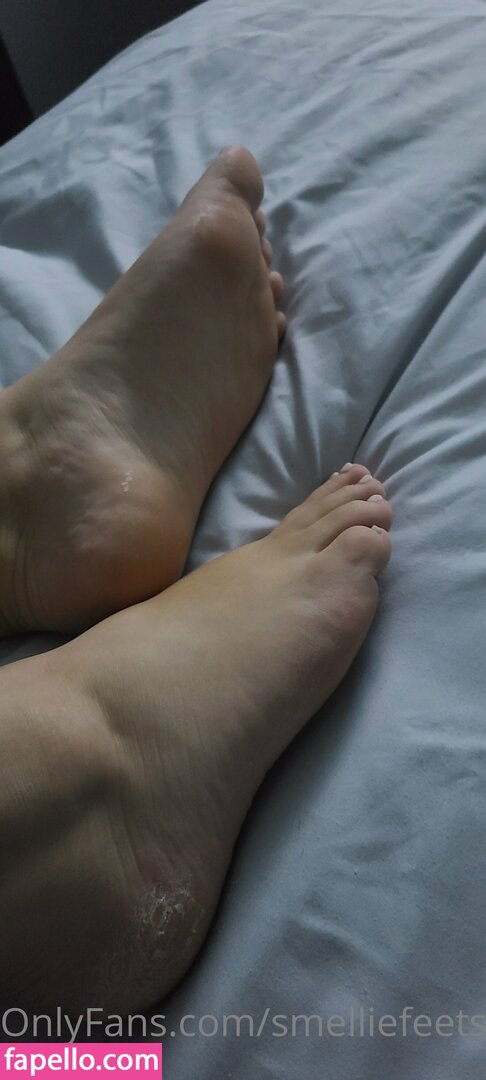 smelliefeetsweetie leaked nude photo #0056 (smelliefeetsweetie / ieatmypancakeswithaspoon)