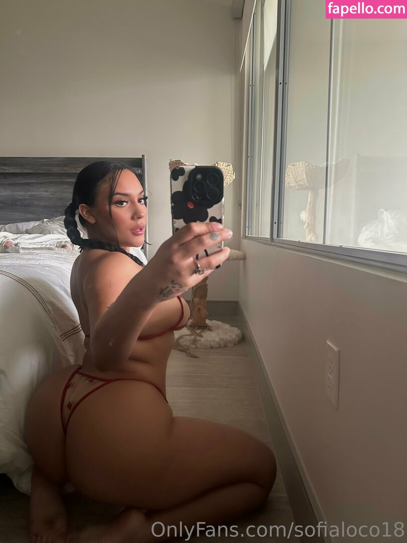 sofialoco18 leaked nude photo #0109 (sofialoco18 / sofyloco)