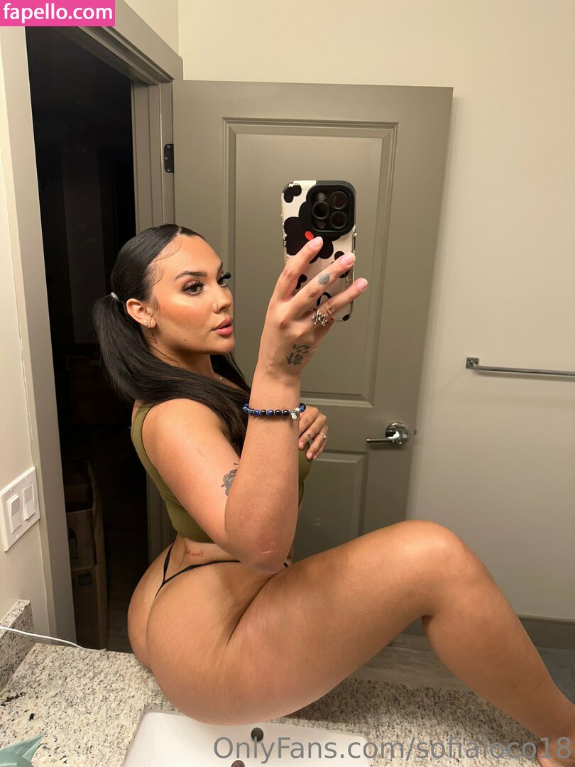 sofialoco18 leaked nude photo #0176 (sofialoco18 / sofyloco)