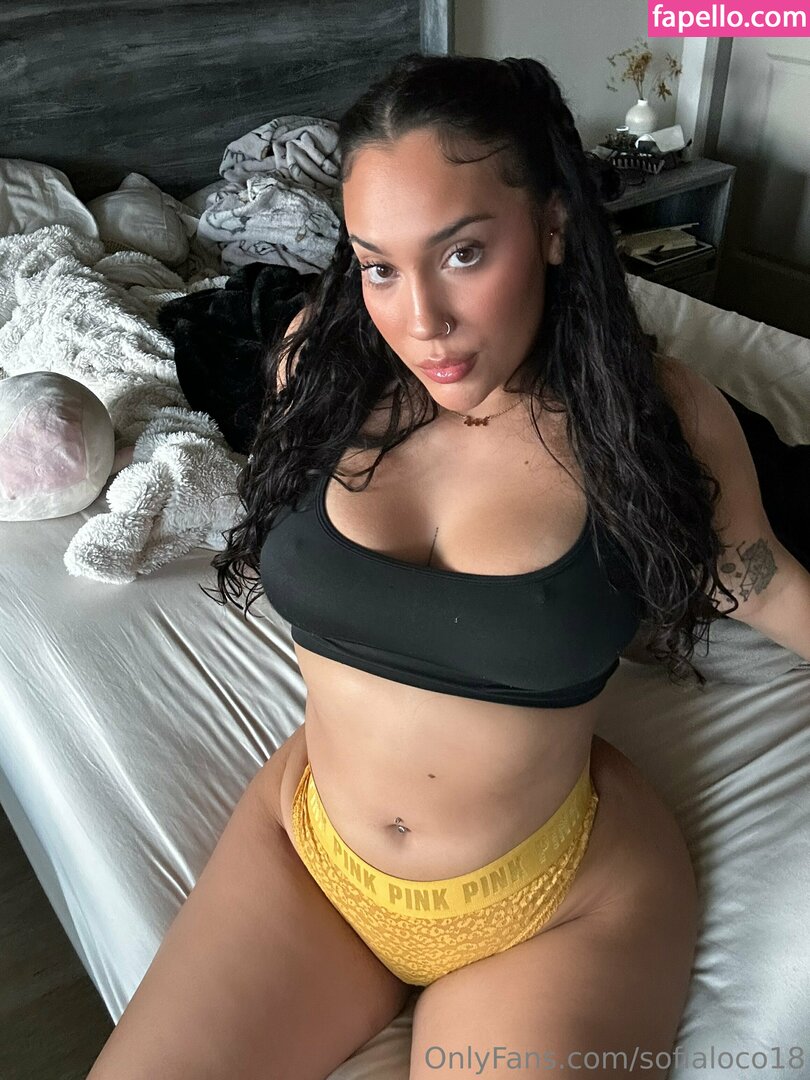 sofialoco18 leaked nude photo #0267 (sofialoco18 / sofyloco)