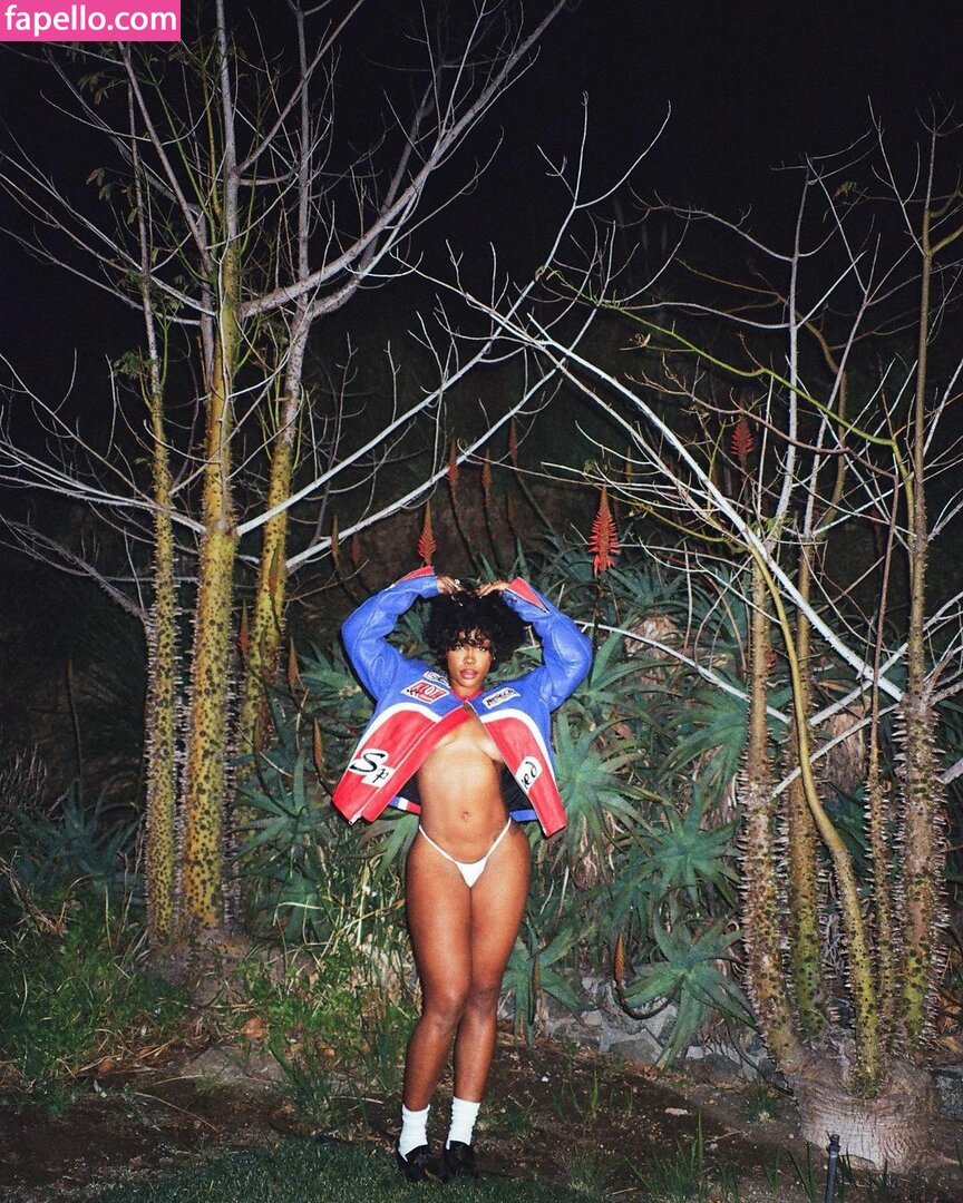 SZA leaked nude photo #0186 (SZA / Solana Rowe / thejad3x)