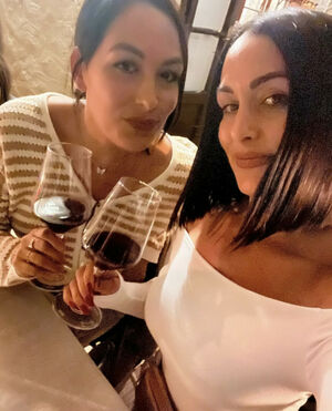 Nikki Bella Parties in a Bentley—See the Pics!