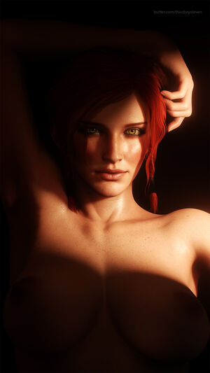 The Witcher nude #1077