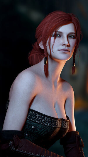 The Witcher nude #1088