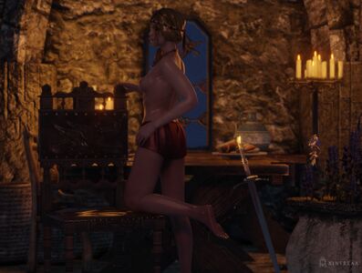 The Witcher nude #1263