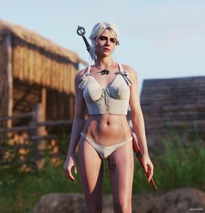 The Witcher nude #1294