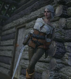 The Witcher nude #1365