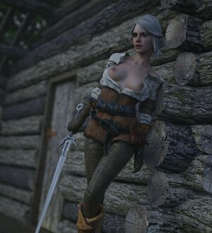 The Witcher nude #1366