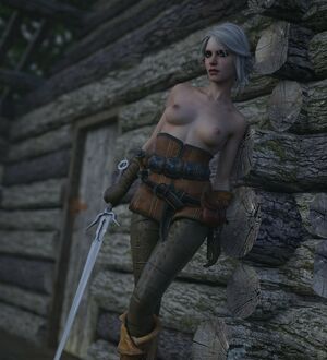 The Witcher nude #1367