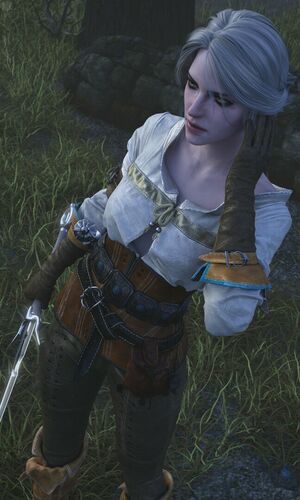 The Witcher nude #1388