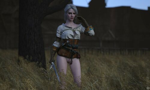 The Witcher nude #1404