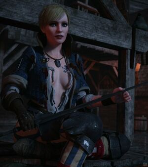 The Witcher nude #1470