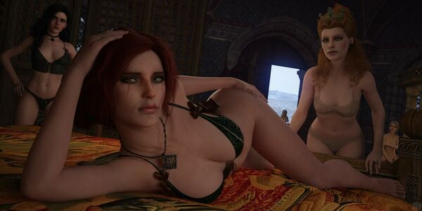 The Witcher nude #1561