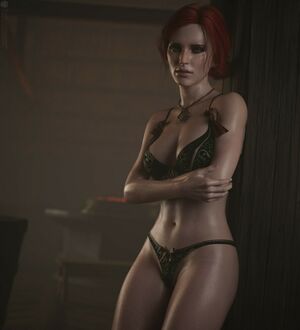 The Witcher nude #1697