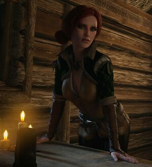 The Witcher nude #1702