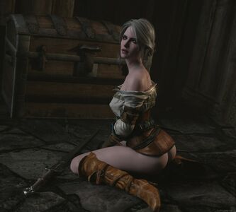 The Witcher nude #1746