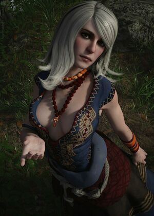 The Witcher nude #1777