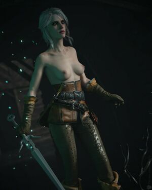 The Witcher nude #1878