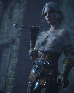 The Witcher nude #1881