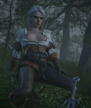 The Witcher nude #1886