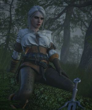 The Witcher nude #1888