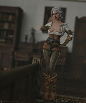 The Witcher nude #1894