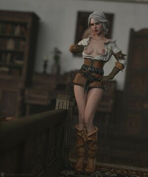 The Witcher nude #1895