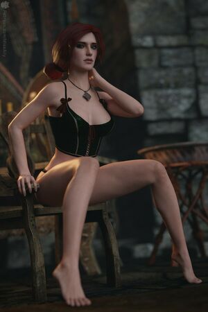 The Witcher nude #1976