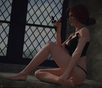 The Witcher nude #1986