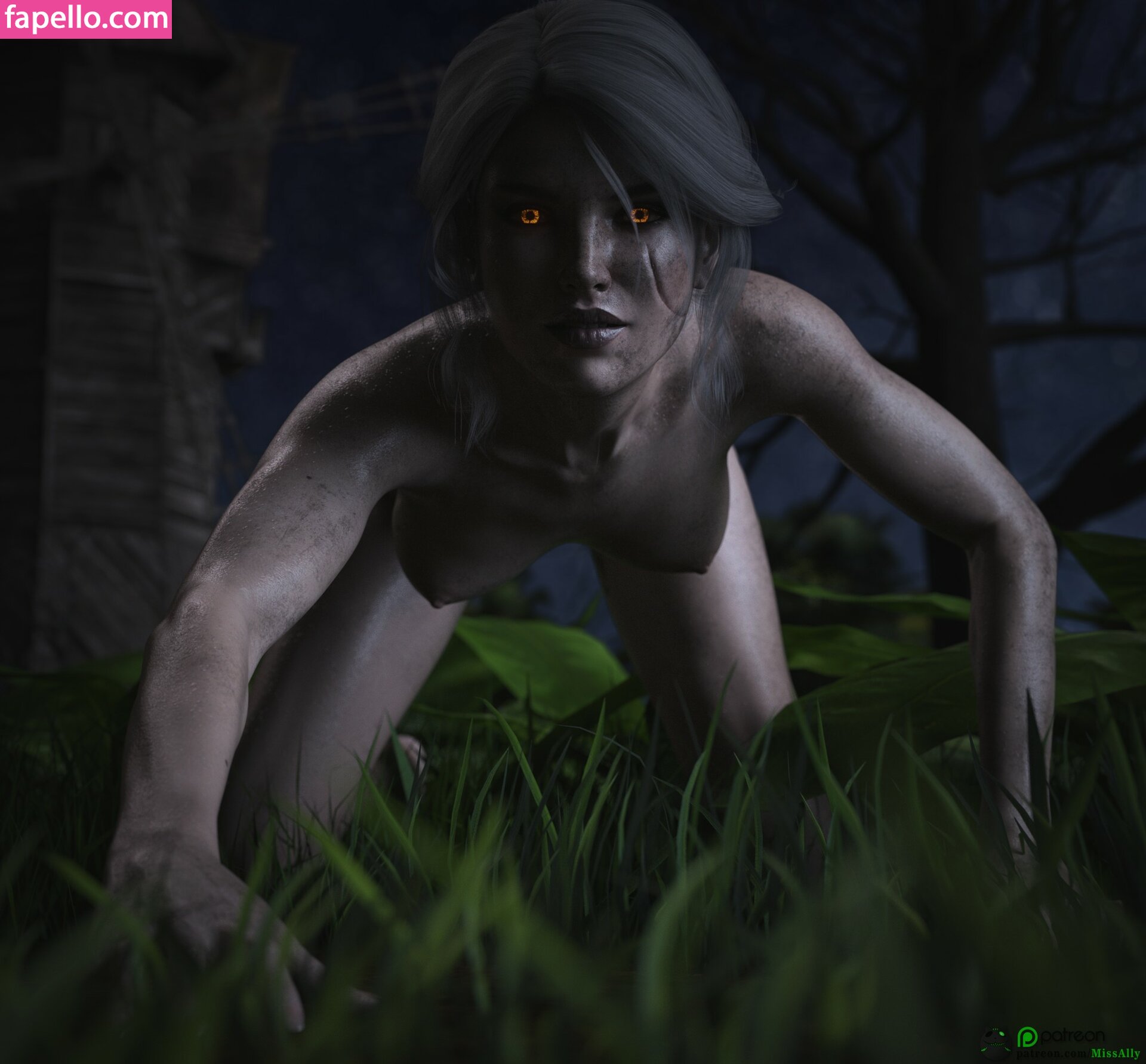 The Witcher leaked nude photo #2042 (The Witcher)