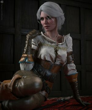 The Witcher nude #2074