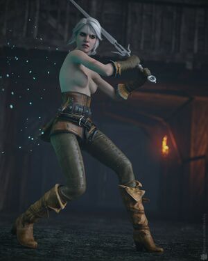 The Witcher nude #2111