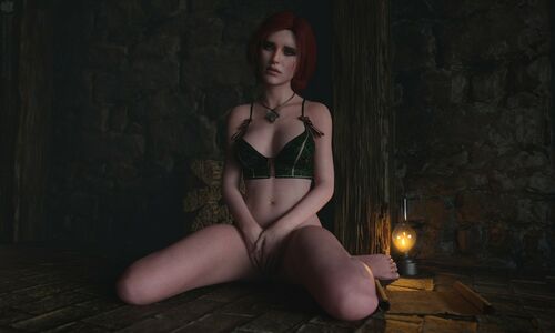 The Witcher nude #2119