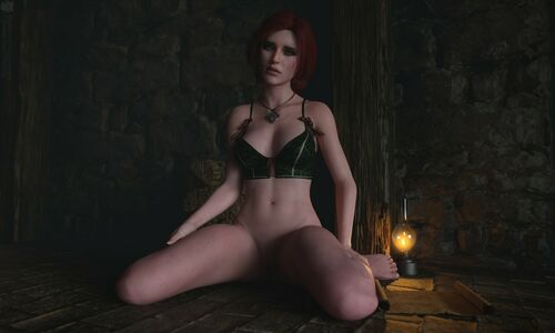 The Witcher nude #2121