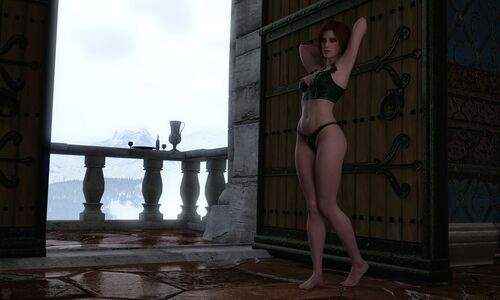 The Witcher nude #2126