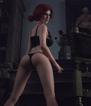 The Witcher nude #2235