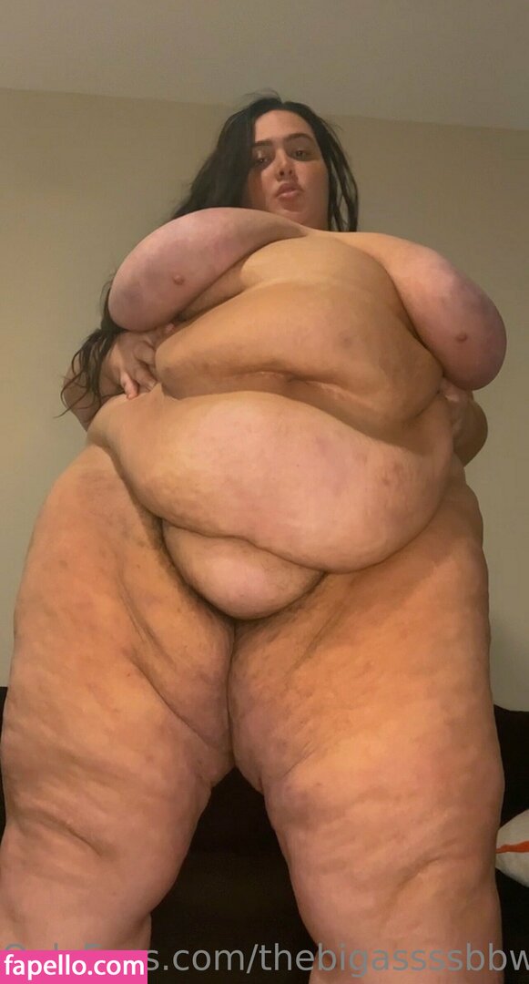 thebigassssbbw1 leaked nude photo #0013 (thebigassssbbw1 / thebigglooom)