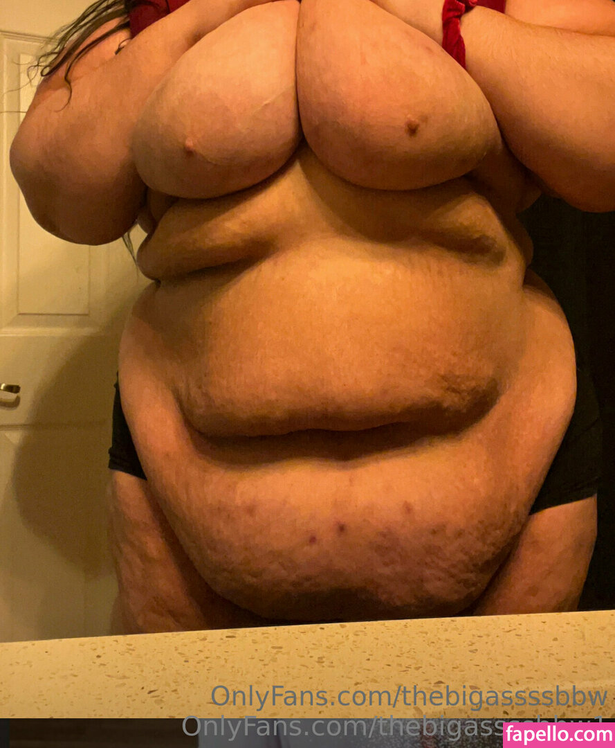 thebigassssbbw1 leaked nude photo #0066 (thebigassssbbw1 / thebigglooom)