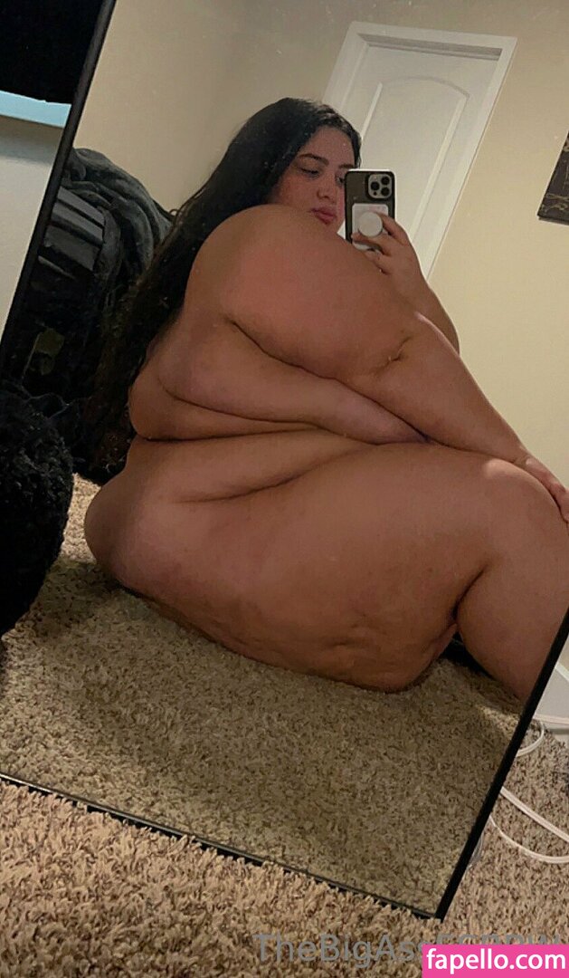 thebigassssbbw1 leaked nude photo #0077 (thebigassssbbw1 / thebigglooom)