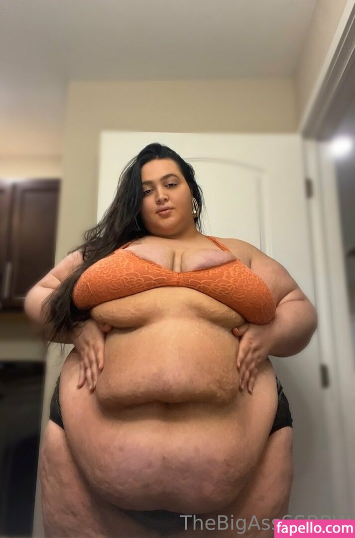 thebigassssbbw1 leaked nude photo #0104 (thebigassssbbw1 / thebigglooom)