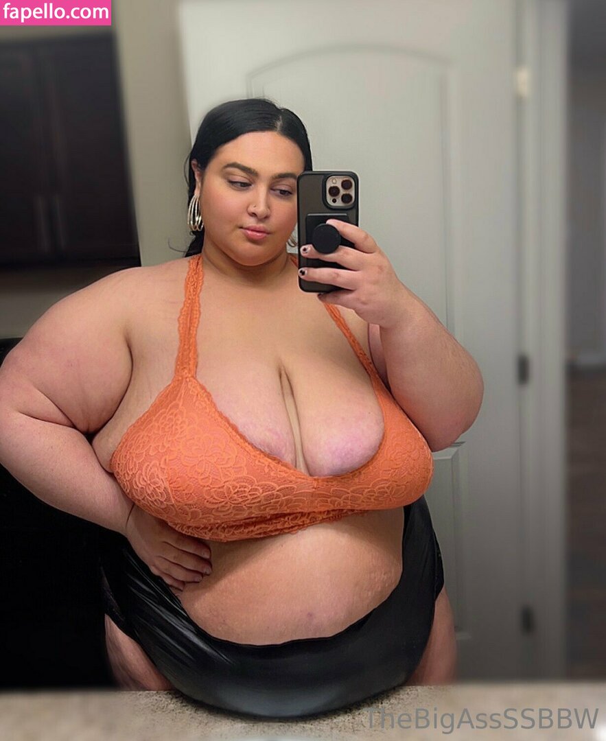 thebigassssbbw1 leaked nude photo #0113 (thebigassssbbw1 / thebigglooom)