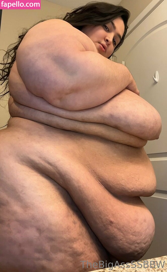 thebigassssbbw1 leaked nude photo #0124 (thebigassssbbw1 / thebigglooom)