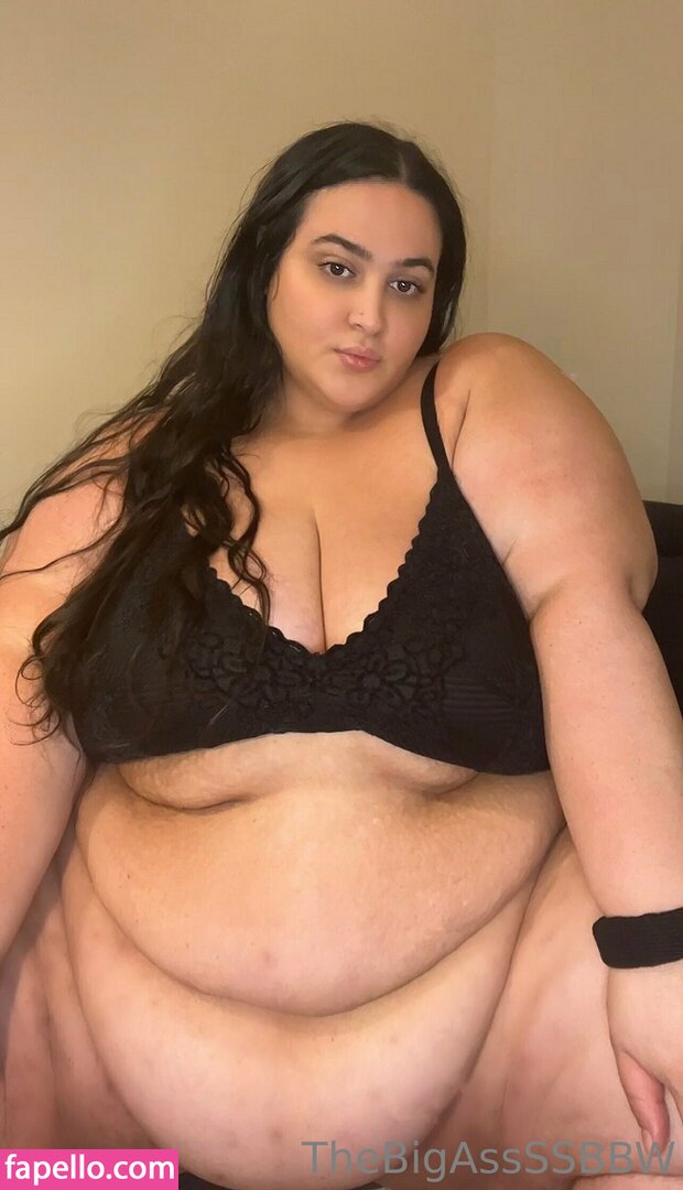 thebigassssbbw1 leaked nude photo #0147 (thebigassssbbw1 / thebigglooom)