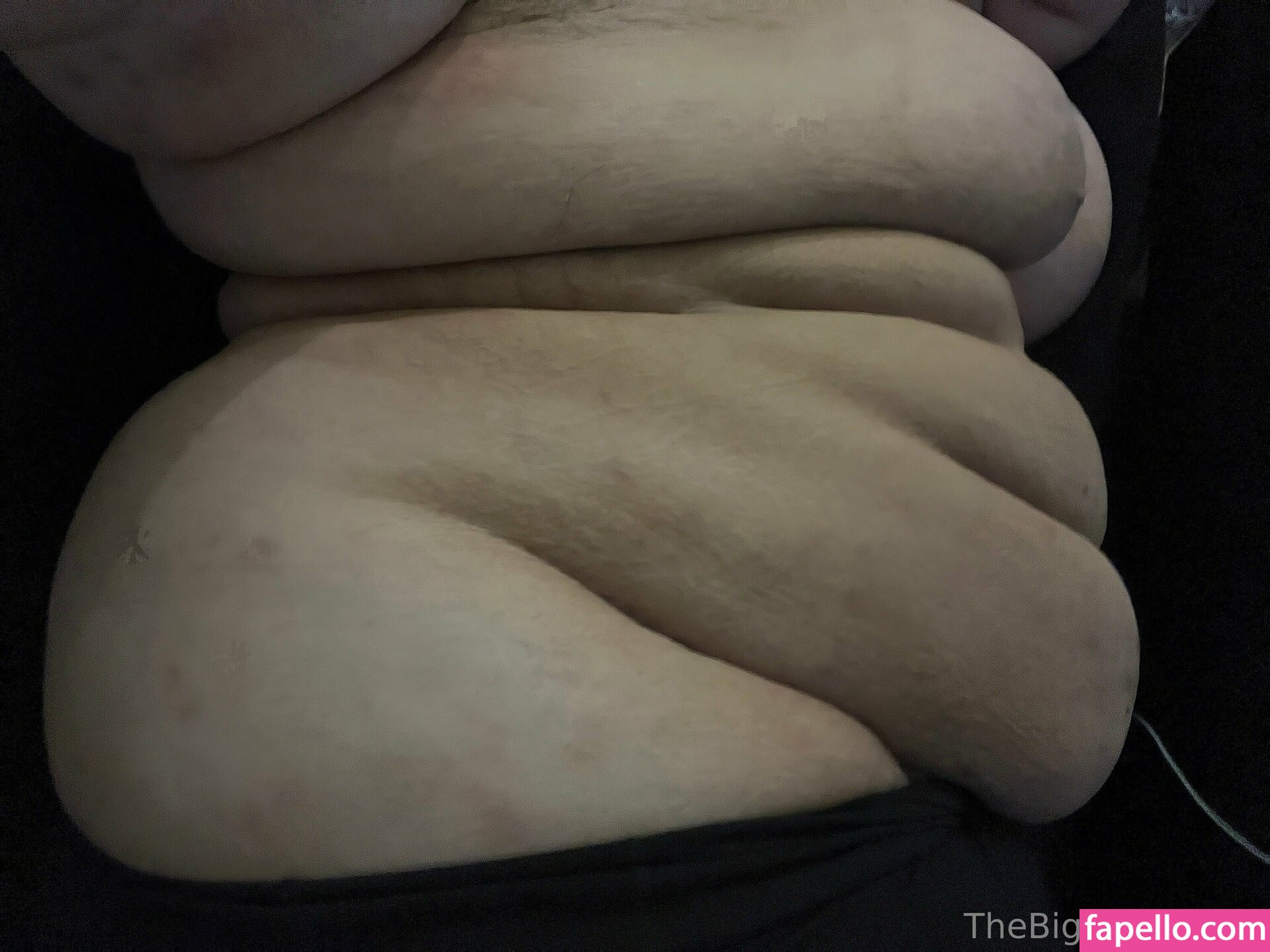 thebigassssbbw1 leaked nude photo #0159 (thebigassssbbw1 / thebigglooom)