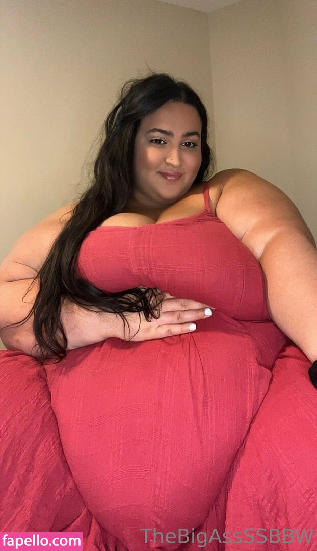 thebigassssbbw1 leaked nude photo #0175 (thebigassssbbw1 / thebigglooom)