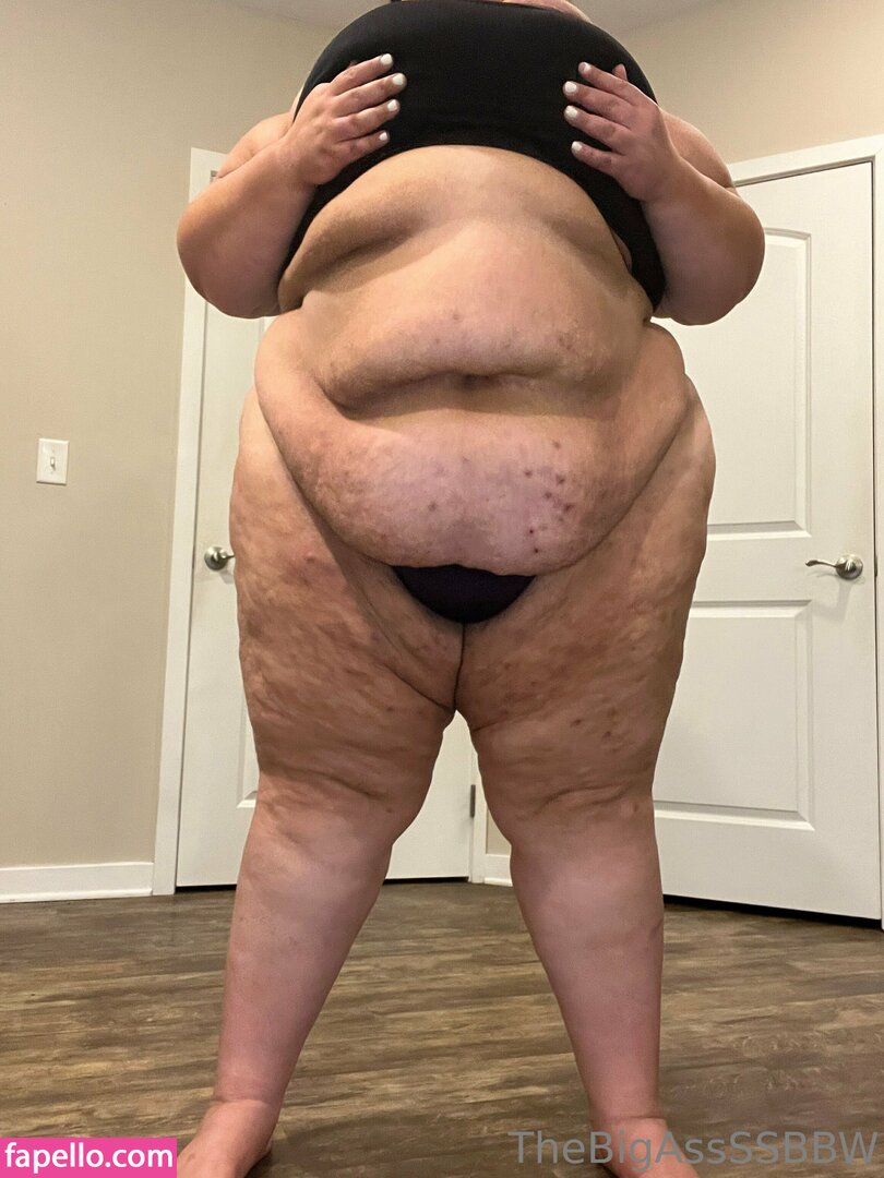 thebigassssbbw1 leaked nude photo #0186 (thebigassssbbw1 / thebigglooom)